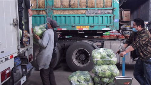 實(shí)拍 疫情防控下的晉城,這些人仍在街頭...